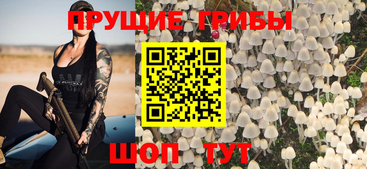 Галлюциногенные грибы мухоморы Владивосток